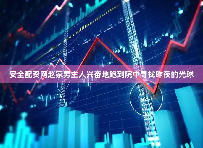 安全配资网赵家男主人兴奋地跑到院中寻找昨夜的光球