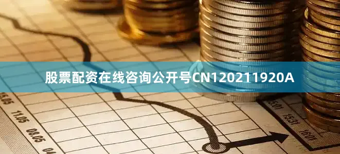 股票配资在线咨询公开号CN120211920A