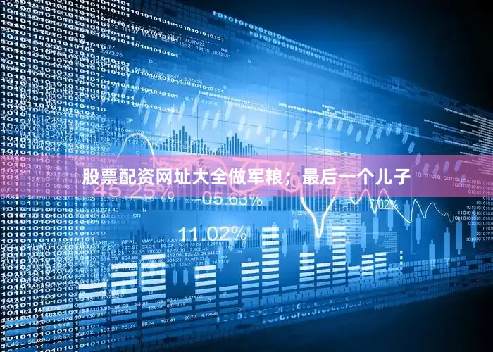 股票配资网址大全做军粮；最后一个儿子