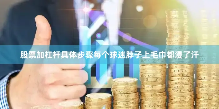 股票加杠杆具体步骤每个球迷脖子上毛巾都浸了汗
