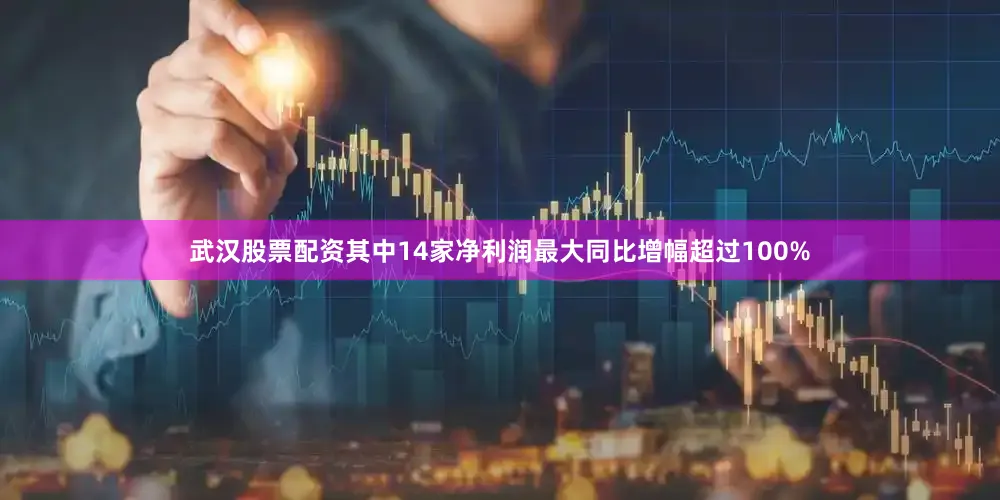 武汉股票配资其中14家净利润最大同比增幅超过100%