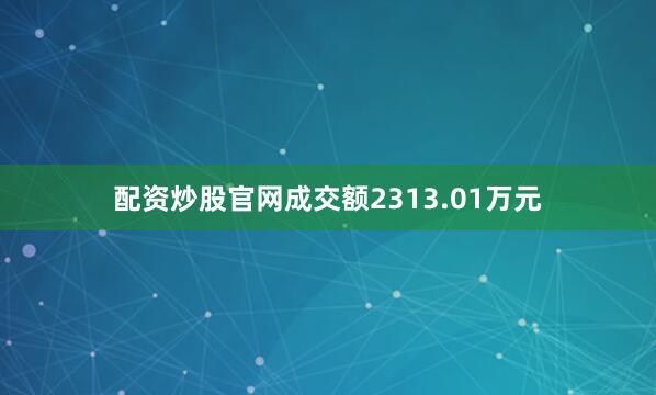 配资炒股官网成交额2313.01万元