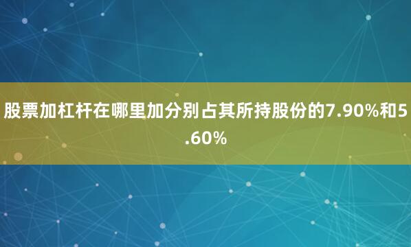 股票加杠杆在哪里加分别占其所持股份的7.90%和5.60%